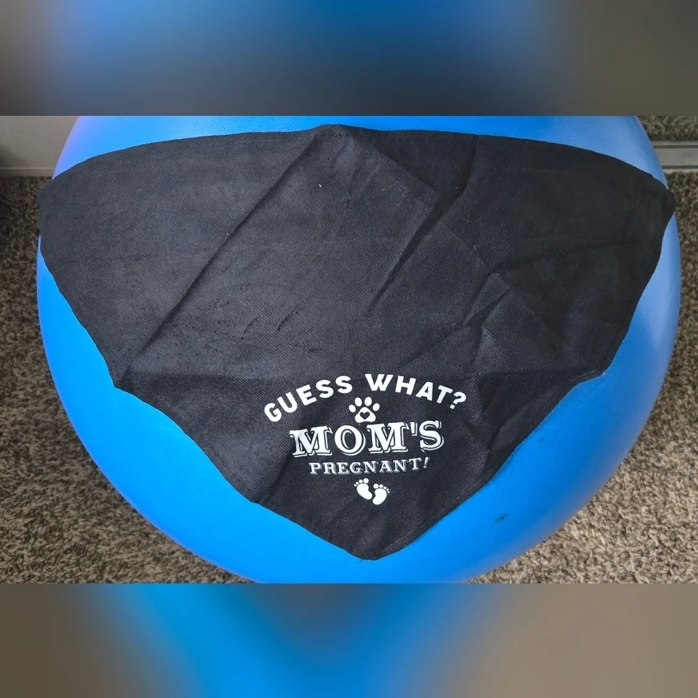 *3/$20 Black Dog Bandana 